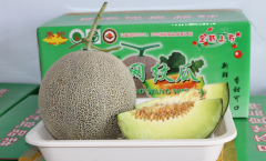 <strong>2014年获得名牌产</strong>