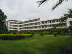 使学校教师步队的规构、质量、效益协调成长